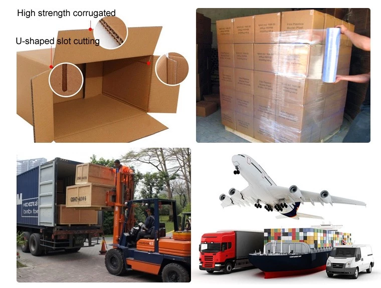  disposable lunch box factory