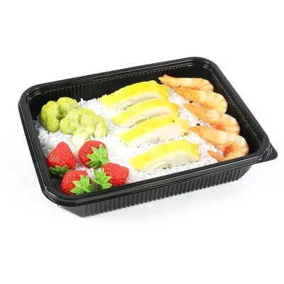 Disposable Plastic PP Food Containers With Lid Disposable Plastic PP Food Containers With Lid