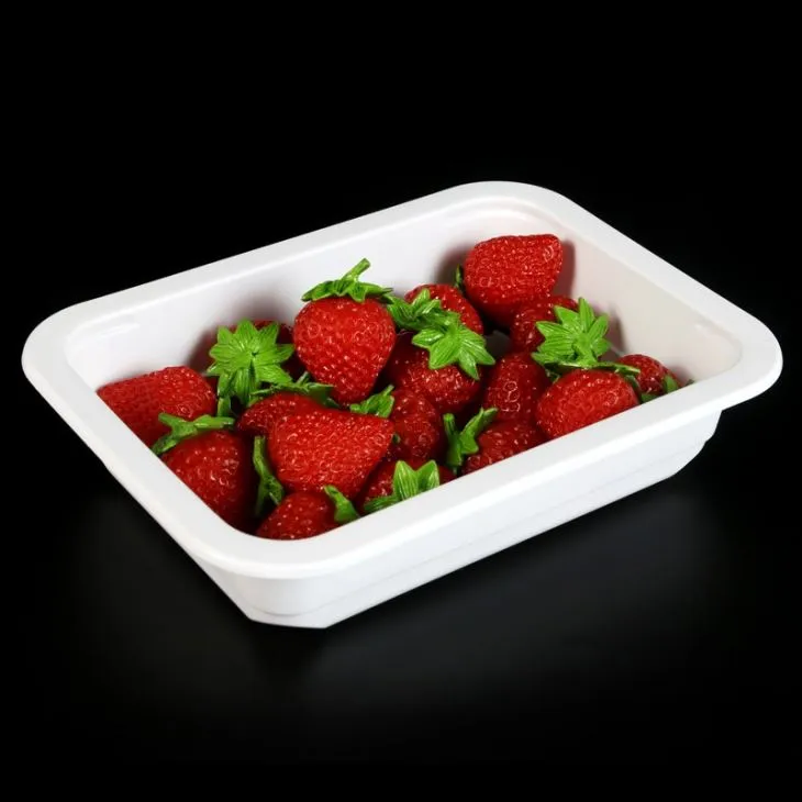 Disposable Frozen Fresh Meat Beef Chicken Lamb Packaging Tray