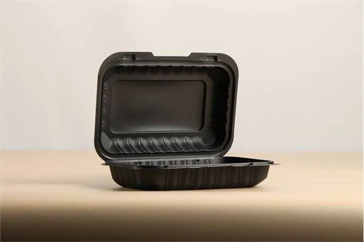 Thermoform Hinged Lid To Go Food Container Hamburger French Fries Mineral Filled