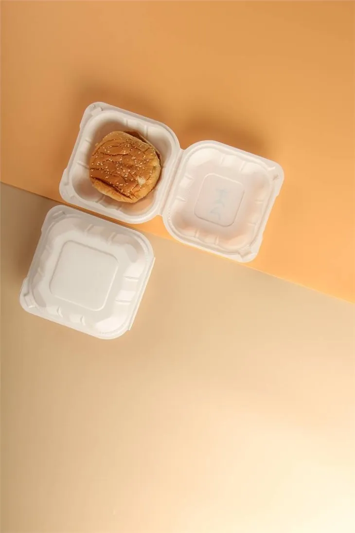 Thermoform Hinged Lid To Go Food Container Hamburger French Fries Mineral Filled