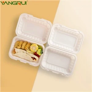 Disposable Plastic Container