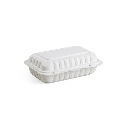 Environmentally Friendly Disposable Lunch Boxes: Reduce The Tide Of Plastic A...
