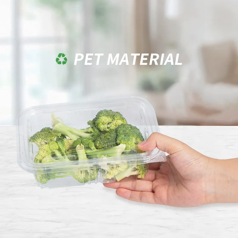 Container For Packaging best