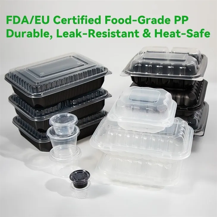 Hinged Plastic Containers Wholesale best