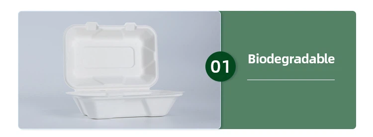 eco friendly takeaway food containers eco friendly takeaway food containers