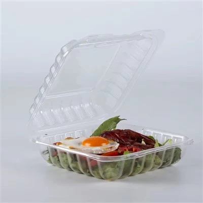 Transparent Takeout Containers Transparent Takeout Containers
