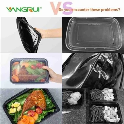 Bento Togo Box Bento Togo Box