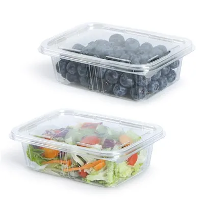 Container For Packaging