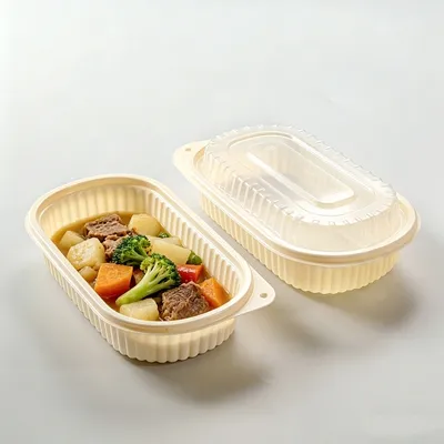 Disposable Container